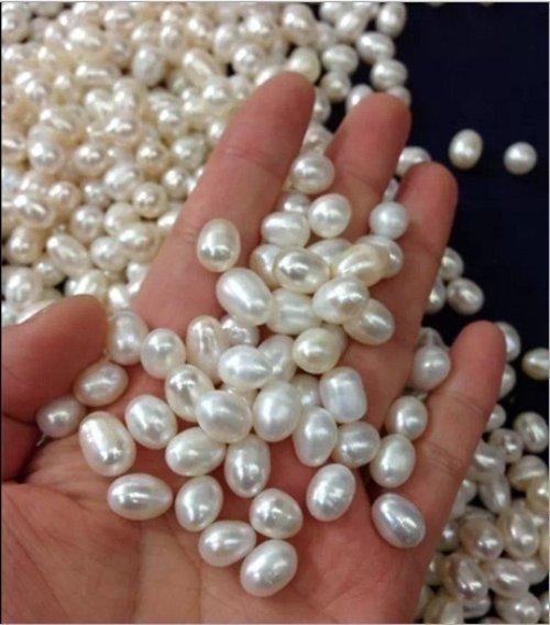 
                  
                    Farmed Pearls (inregular shape, one oyster---3-6 pcs pearls）
                  
                