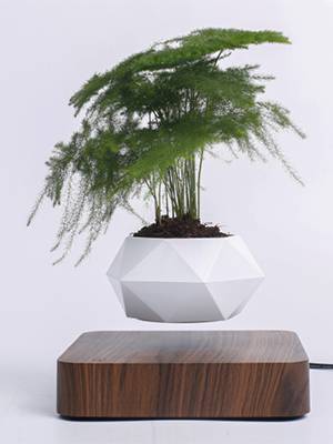 
                  
                    DRESSPLUS New Magnetic Levitation Air Bonsai Pot,Creative Mini Sky-Garden Rotating Flower Pot Planter, for Home & Garden Desk Decoration and Gifts (Dark Wooden Color
                  
                