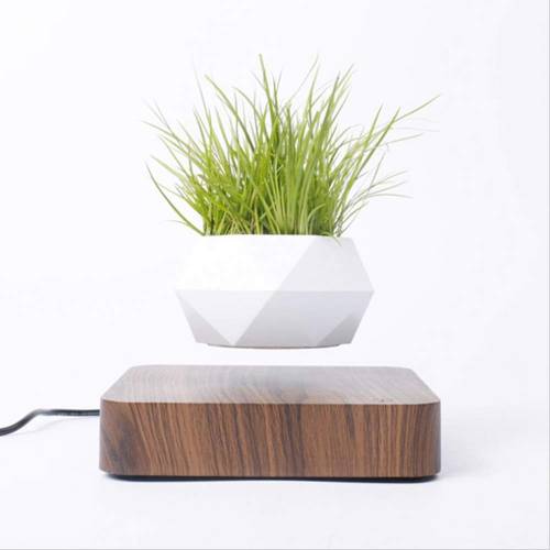 
                  
                    DRESSPLUS New Magnetic Levitation Air Bonsai Pot,Creative Mini Sky-Garden Rotating Flower Pot Planter, for Home & Garden Desk Decoration and Gifts (Dark Wooden Color
                  
                