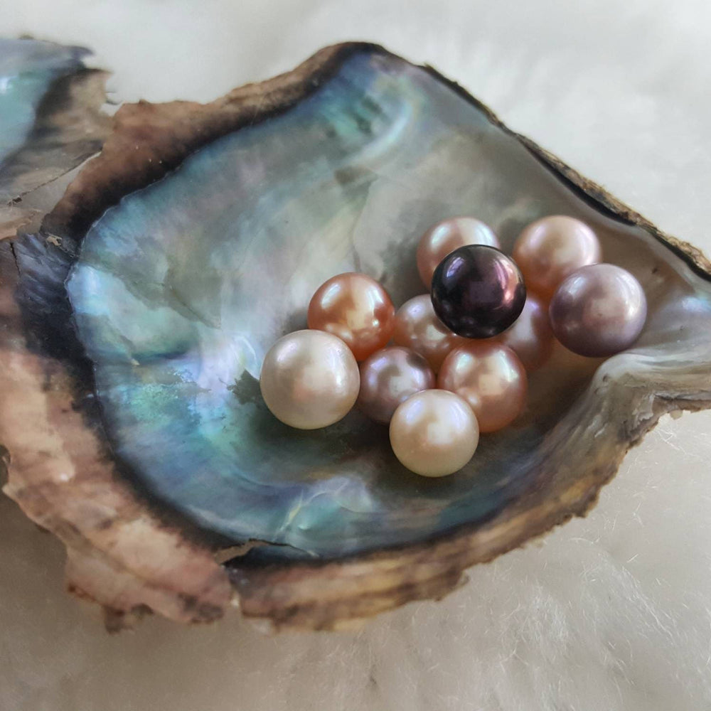 
                  
                    Farmed Pearls (inregular shape, one oyster---3-6 pcs pearls）
                  
                